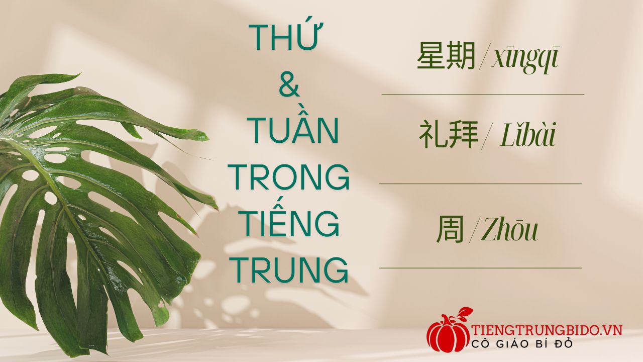 cách nói tuần trong tiếng trung