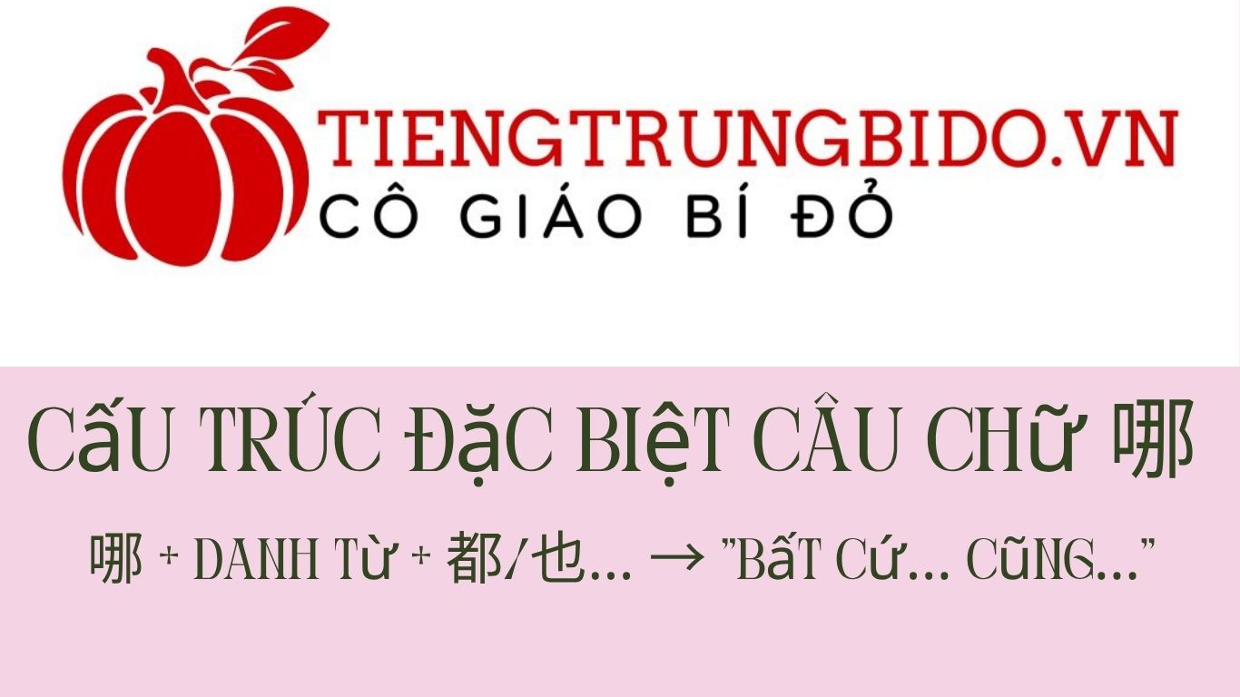 cấu trúc câu chữ 哪