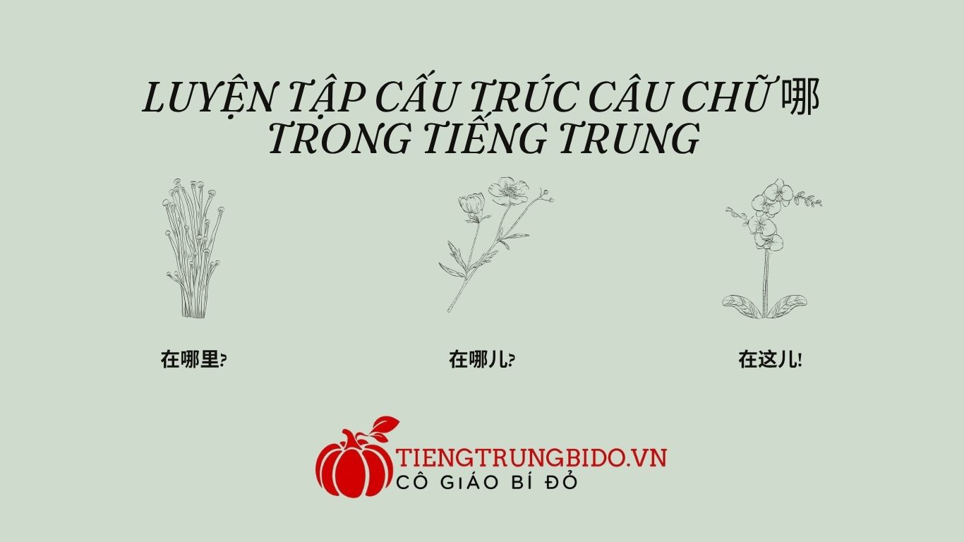bài tập câu chữ 哪 trong tiếng trung 
