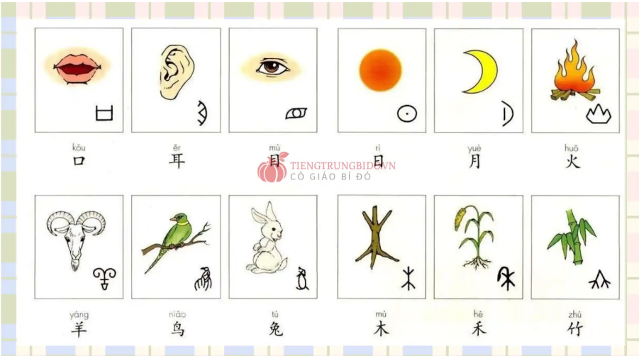 50 bộ thủ thường dùng trong tiếng trung 2025