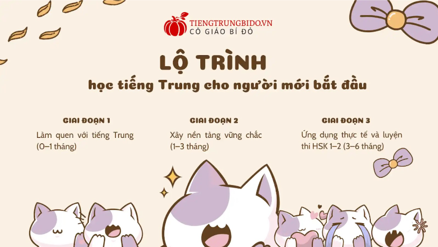 lộ trình học tiếng trung cho người mới bắt đầu 