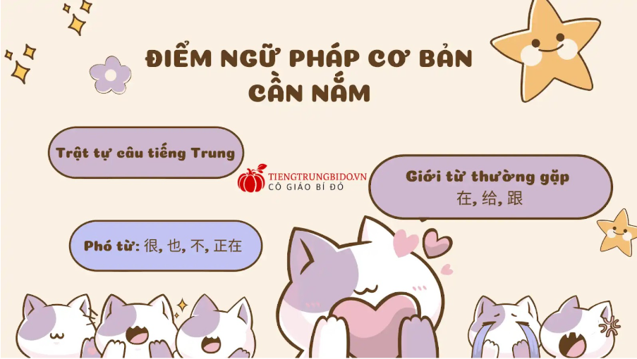 cách học ngữ pháp tiếng trung cho người mới bắt đầu 