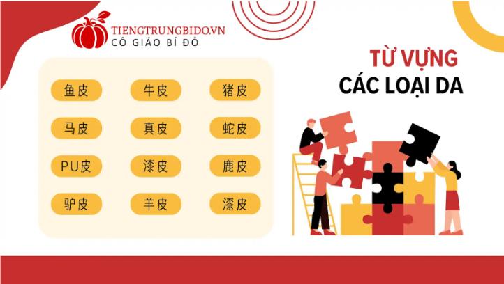 Từ Vựng Tiếng Trung Về Giày Da Mới Nhất